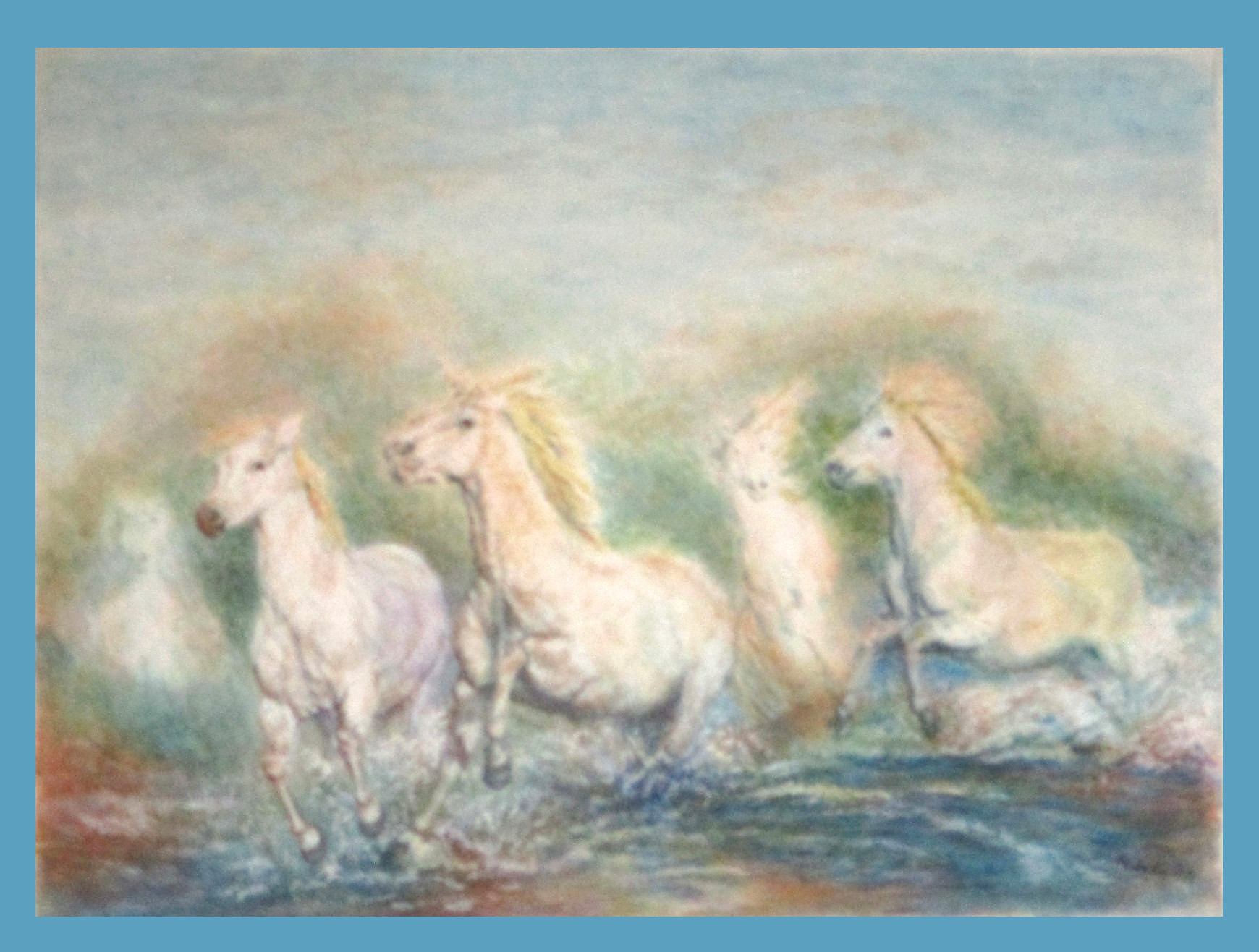 Galloping Camargue Horses.